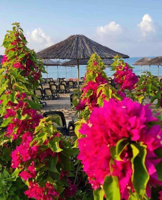 Daire Riviera 100m Away From The Sea, 2 Bedroom *